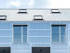 y蹆臲N,湕-九游体育入口